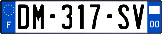 DM-317-SV
