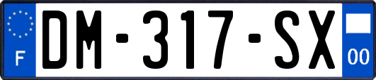 DM-317-SX