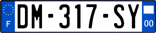 DM-317-SY