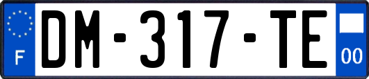 DM-317-TE