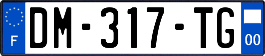 DM-317-TG