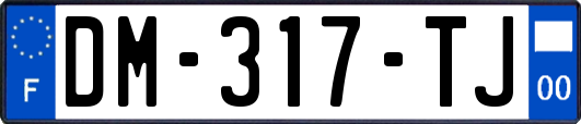 DM-317-TJ