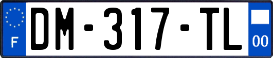 DM-317-TL