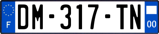 DM-317-TN