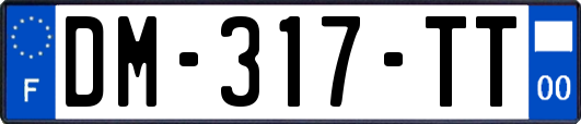 DM-317-TT