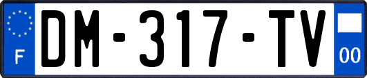 DM-317-TV