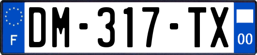 DM-317-TX