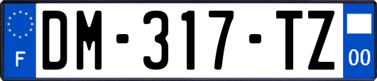 DM-317-TZ