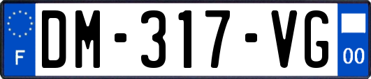 DM-317-VG