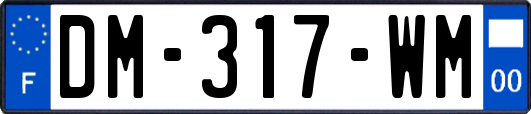 DM-317-WM