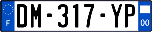 DM-317-YP