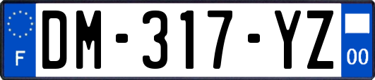 DM-317-YZ