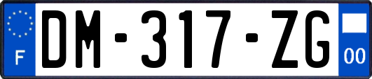 DM-317-ZG