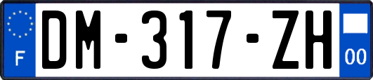 DM-317-ZH