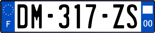 DM-317-ZS