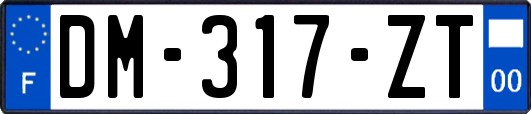 DM-317-ZT