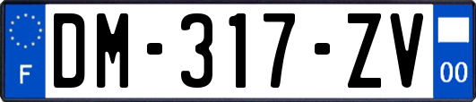 DM-317-ZV