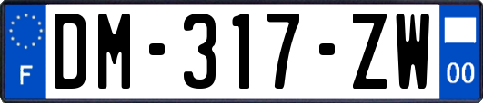 DM-317-ZW