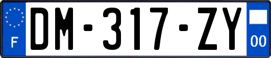 DM-317-ZY