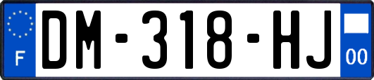 DM-318-HJ