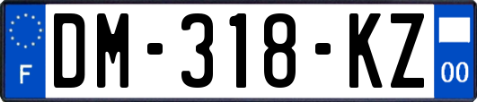 DM-318-KZ