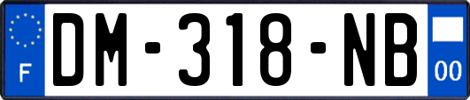 DM-318-NB