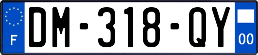 DM-318-QY