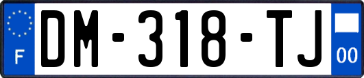 DM-318-TJ
