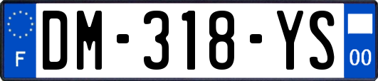 DM-318-YS