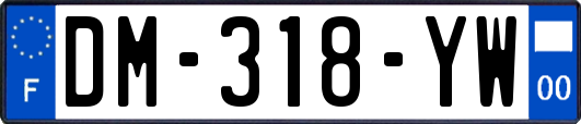 DM-318-YW