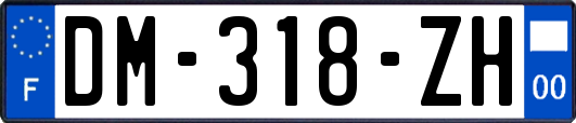 DM-318-ZH