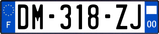 DM-318-ZJ