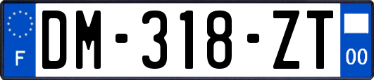 DM-318-ZT