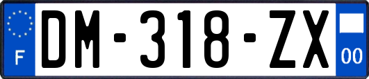 DM-318-ZX