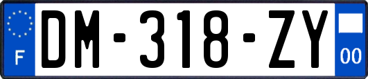 DM-318-ZY