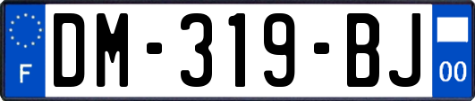 DM-319-BJ