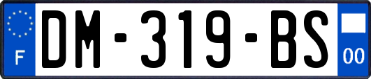 DM-319-BS