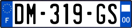 DM-319-GS