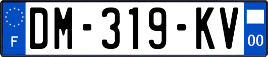 DM-319-KV