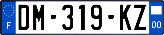 DM-319-KZ