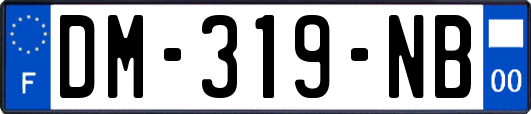 DM-319-NB
