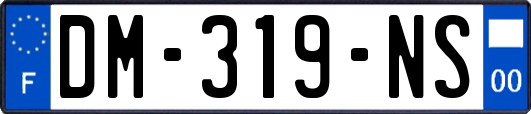 DM-319-NS