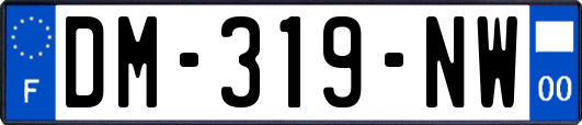 DM-319-NW