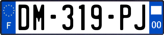 DM-319-PJ