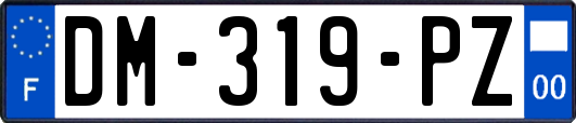 DM-319-PZ