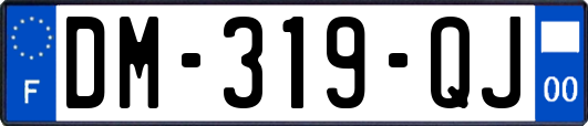 DM-319-QJ