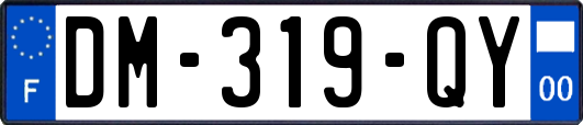 DM-319-QY
