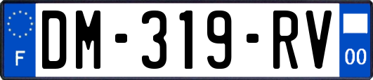 DM-319-RV