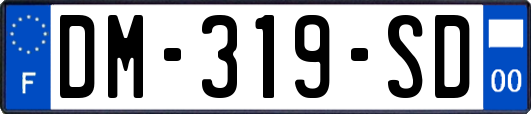 DM-319-SD