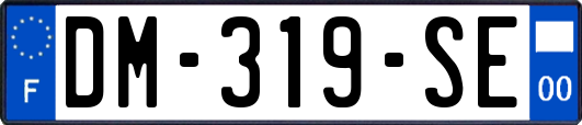 DM-319-SE